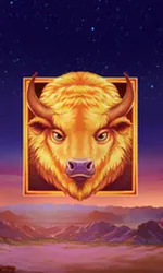 Buffalo's Sun 2